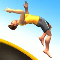 flip-master